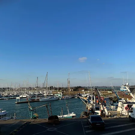 Panorama Et La Vie Du Port *