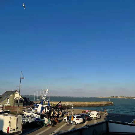 Panorama Et La Vie Du Port * Saint-Vaast-la-Hougue